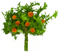 arbre en feuille de salade et carottes